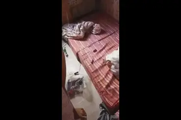 Di Kamar Pacar, Memek Basah Digenjot Sampe Banjir Crot Dalam Keras